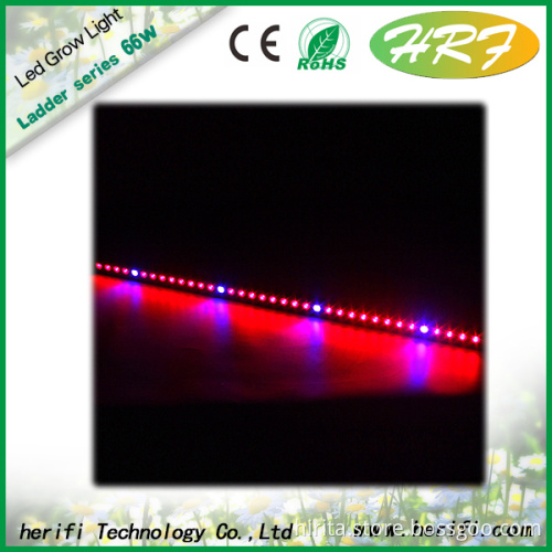 Herifi 2015 Ladder Series 36x3w LA003 LED Grow Light full spectrum light